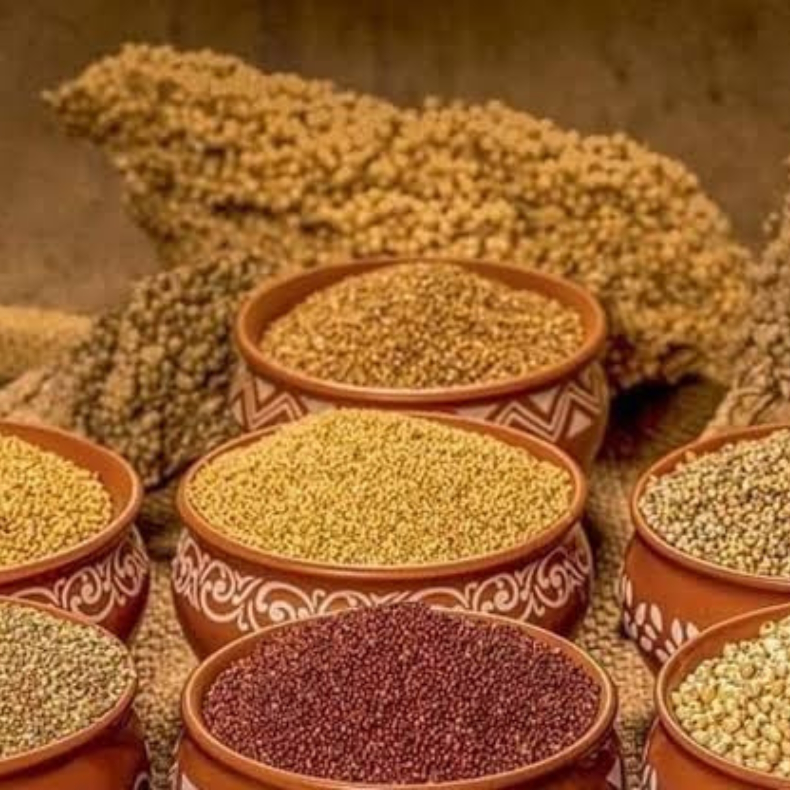 Organic Millets